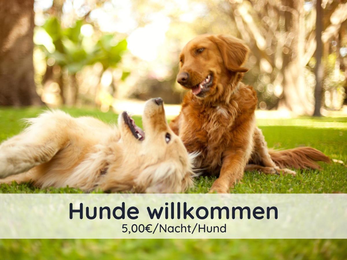 巴特萨克萨Der Fuchsbau - Fewo Lepetit - Im Sonnigen Harz - Hunde Willkommen - 100M Bis Zum Wald - Free Wlan公寓 外观 照片